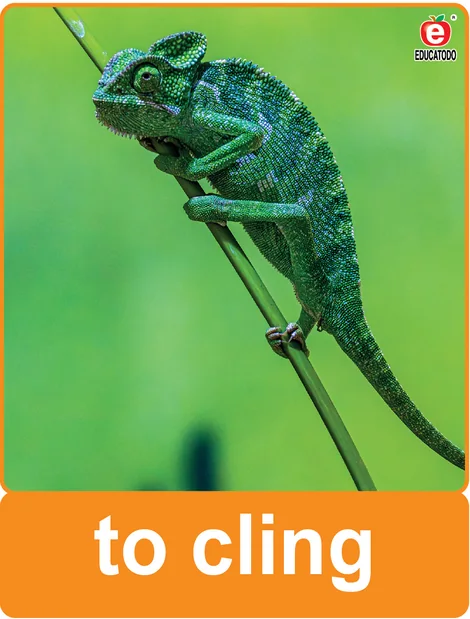 Tarjeta física: to cling