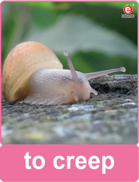 Tarjeta física: to creep