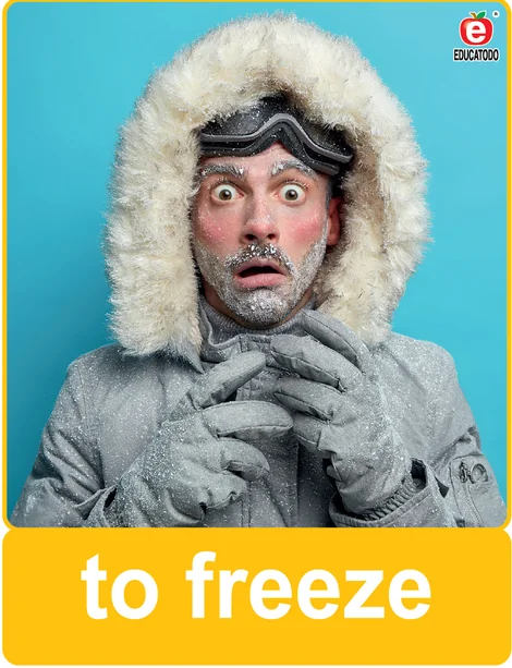 Tarjeta física: to freeze
