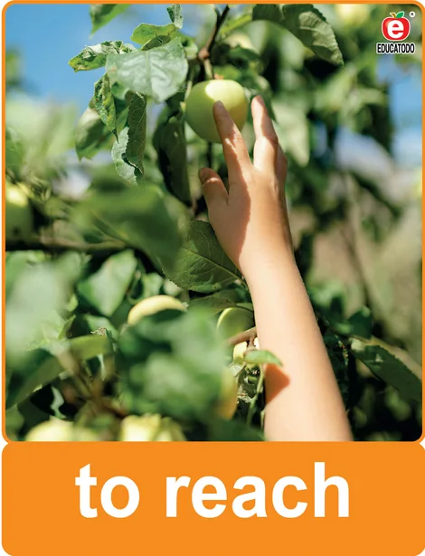 Tarjeta física: to reach