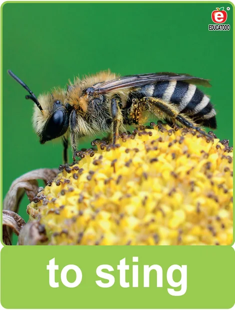 Tarjeta física: to sting