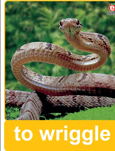 Tarjeta física: to wriggle